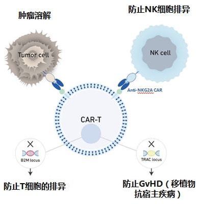 實體瘤CAR-T的破局者 科濟藥業李宗海談全球研發進展、海外布局與下一代技術
