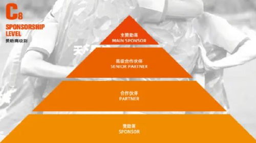 山東泰山開放冠名權招商，開啟品牌合作新篇章